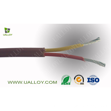 Type K Extension Cable